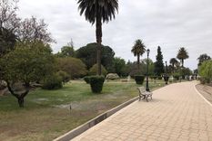 radiografia del parque general san martin tras la polemica en torno a su limpieza radiografia del parque general san martin tras la polemica en torno a su limpieza