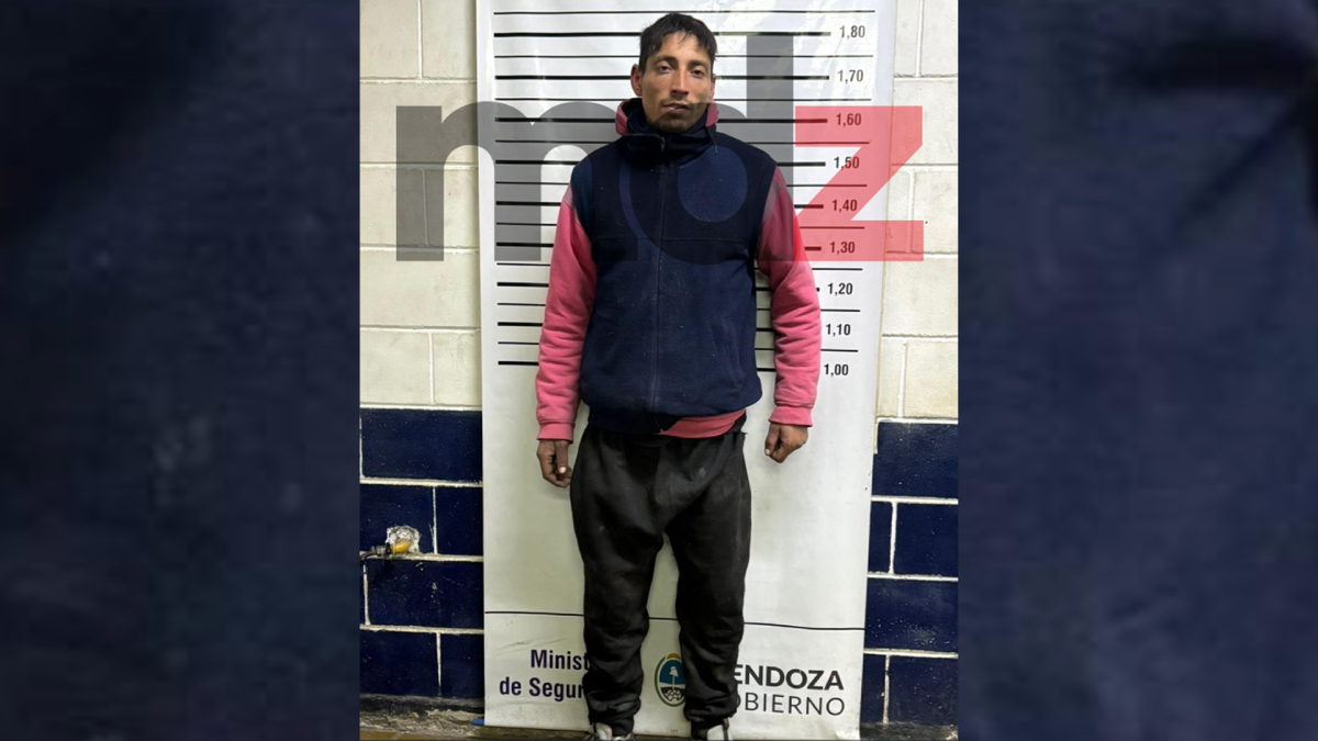 Lo descubrieron robando cables, intentó escapar y terminó detenido tras ser perseguido por un vecino
