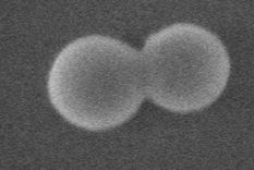 El rotor nanométrico gira a 300.000 millones de revoluciones por minuto.