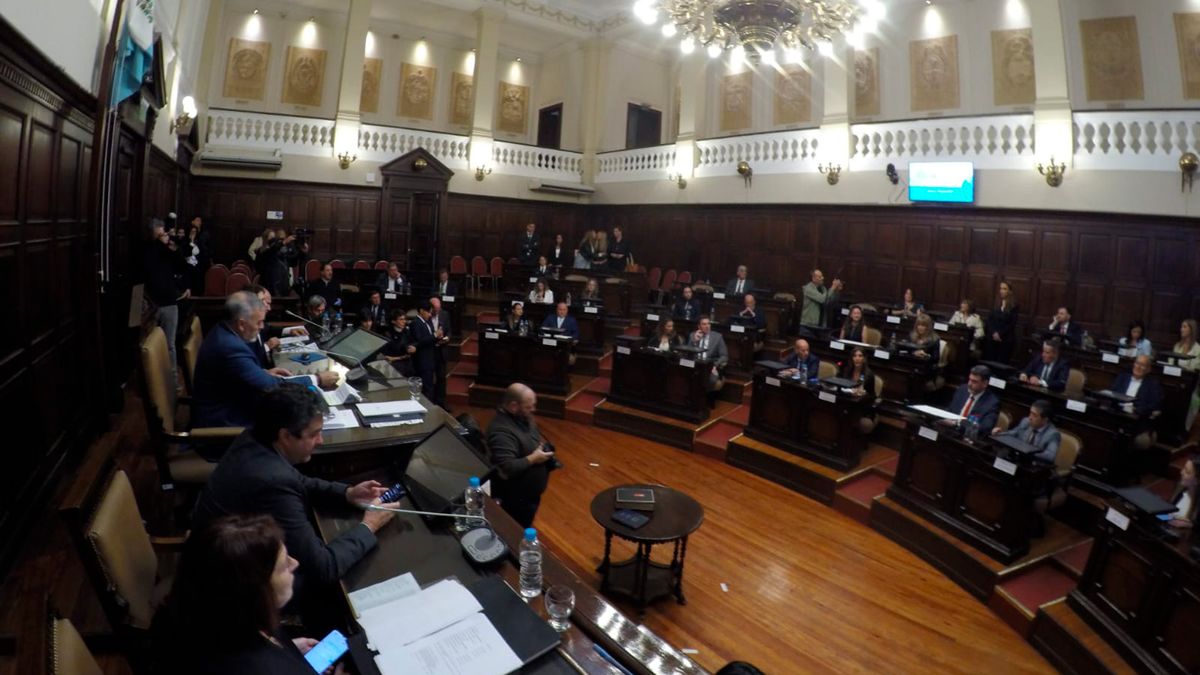 Seguí en vivo la jura de los nuevos diputados mendocinos