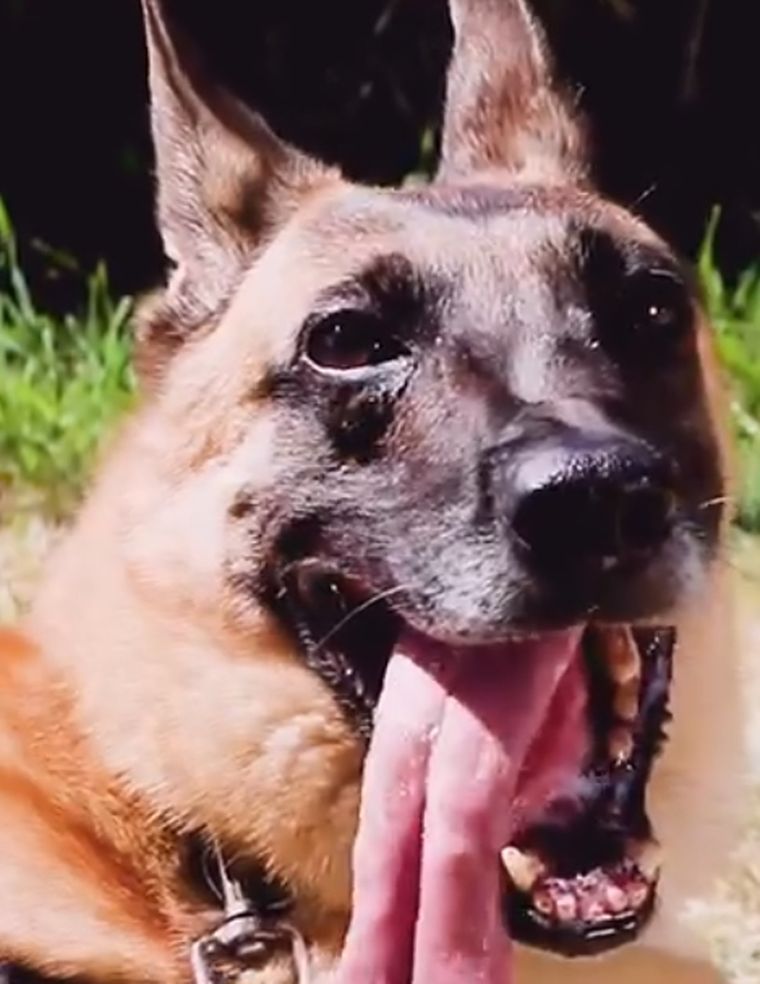 Juana trabajó durante 8 años en operativos de Prefectura Foto: Captura de video