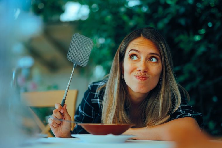 Las moscas ya no serán un problema en el hogar con este truco casero Foto: Shutterstock