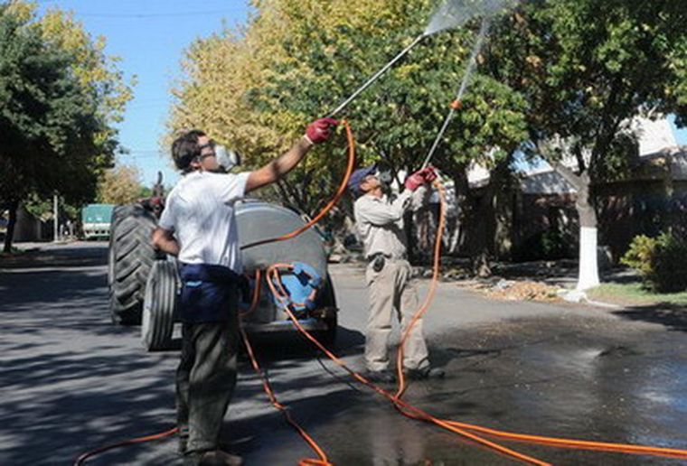 Personal municipal trabaja en la prevención del dengue. Foto: Prensa Rivadavia