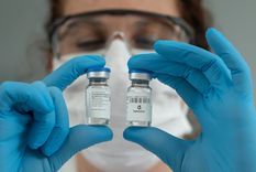 El suero equino está cerca de fabricarse de forma masiva y ser el primer medicamento argentino contra la covid