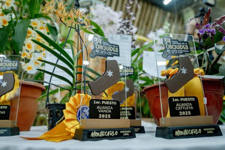 Entre las plantas premiadas, el propio Rilo fue reconocido en una de las categorías principales. Entre las plantas premiadas, el propio Rilo fue reconocido en una de las categorías principales.