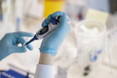 Los expertos confían en que habrá una vacuna a principios del próximo año.