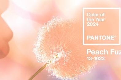 MDZol | Peach fuzz, el color elegido por Pantone para el año 2024 Foto: Pantone