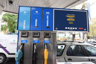 MDZol | Foto: ALF PONCE MERCADO / MDZ