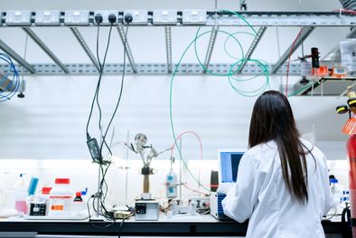 MDZol | Foto: Pexels