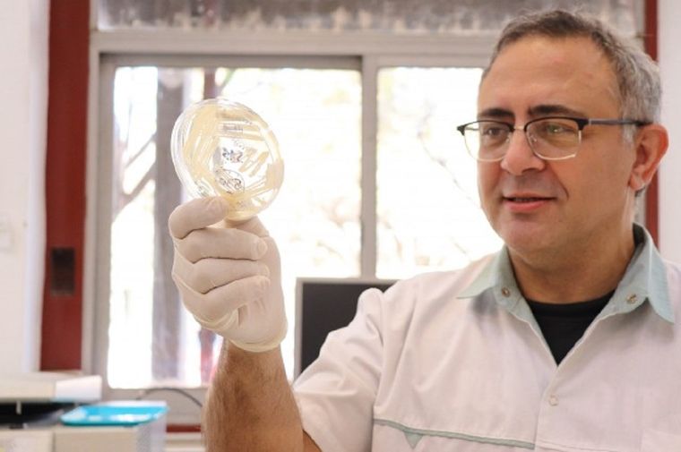 El científico Guillermo García Effron convocado por la OMS Foto: UNL Santa Fe