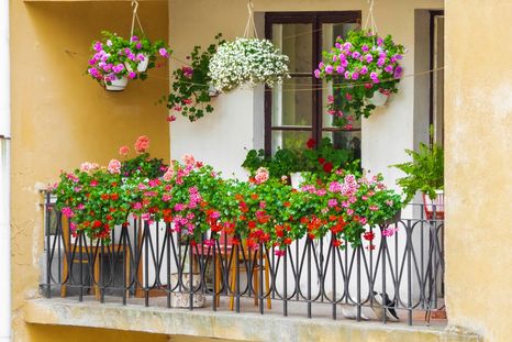 Cómo lograr un jardín en el balcón. Foto: Shutterstock Cómo lograr un jardín en el balcón. Foto: Shutterstock