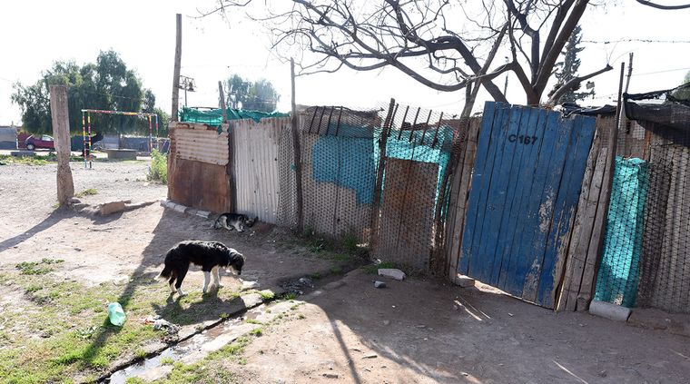 Foto: Alf Ponce / MDZ