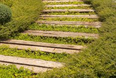 DURMIENTES PARA EL JARDÍN Foto: SHUTTERSTOCK