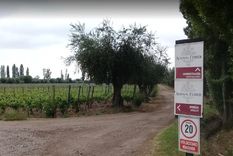 El ingreso a la bodega Achaval Ferrer en Luján. Foto: Captura Google. El ingreso a la bodega Achaval Ferrer en Luján. Foto: Captura Google.
