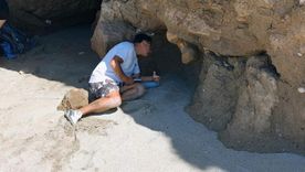 Dos turistas encontraron en la costa de Santa Clara del Mar los restos fósiles de un megaterio, un enorme perezoso prehistórico que habitó la región hace más de 400.000 años. Fotos: Instagram @museolorenzoscagliamgp Dos turistas encontraron en la costa de Santa Clara del Mar los restos fósiles de un megaterio, un enorme perezoso prehistórico que habitó la región hace más de 400.000 años. Fotos: Instagram @museolorenzoscagliamgp