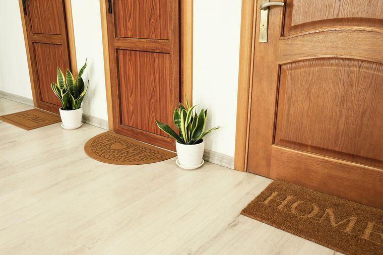 JARDÍN Las plantas decoran cada entrada Foto: SHUTTERSTOCK