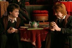 Harry Potter, Warnes Bros