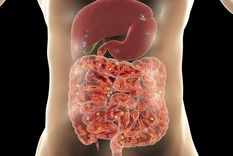 Nuestro cuerpo alberga infinidad de microorganismos que contribuyen a infinidad de procesos e interacciones biológicas. Foto: GETTY IMAGES