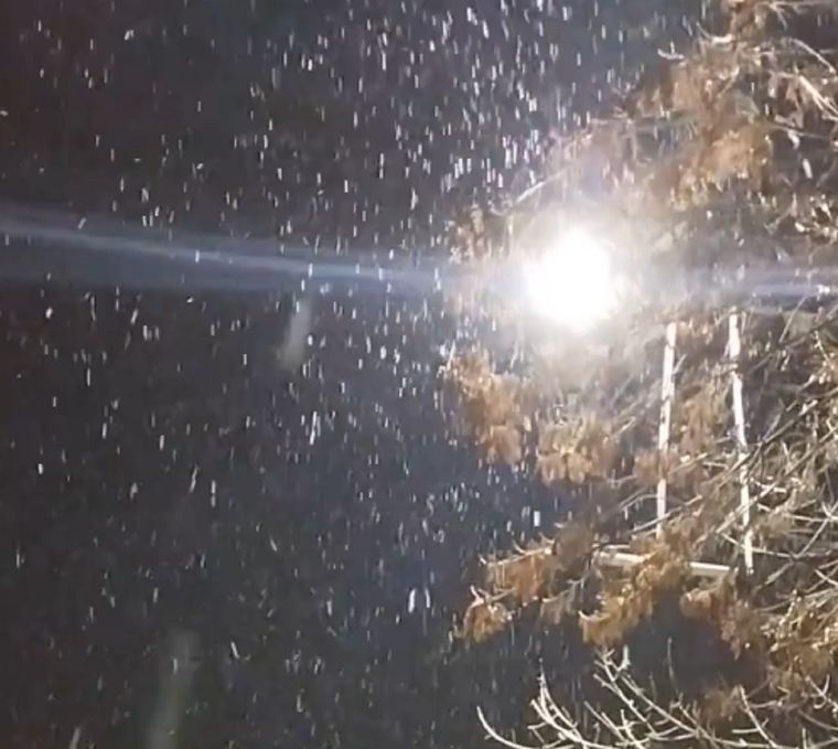 Imágenes de la nieve en Vistalba Foto: Captura de video