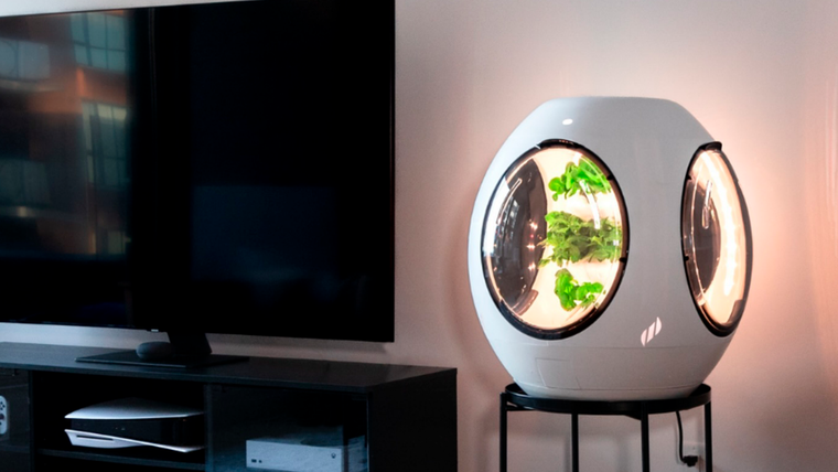 El huerto o minijardín se encuentra dentro de una cápsula que se configura para que una niebla ultrafina mezcle el agua con los nutrientes y lo aplique directamente a las raíces de las plantas. Foto: instagram.com/plantaform/