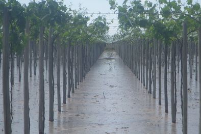 MDZol | El concurso pretende enseñar a usar el agua. Foto: Ulises Naranjo / MDZ.