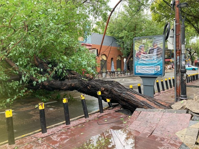 Equipos municipales trabajaron para restablecer la circulación y reducir riesgos en la vía pública.