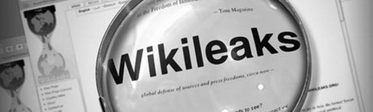 ¿Wikileaks no es lo que parece?