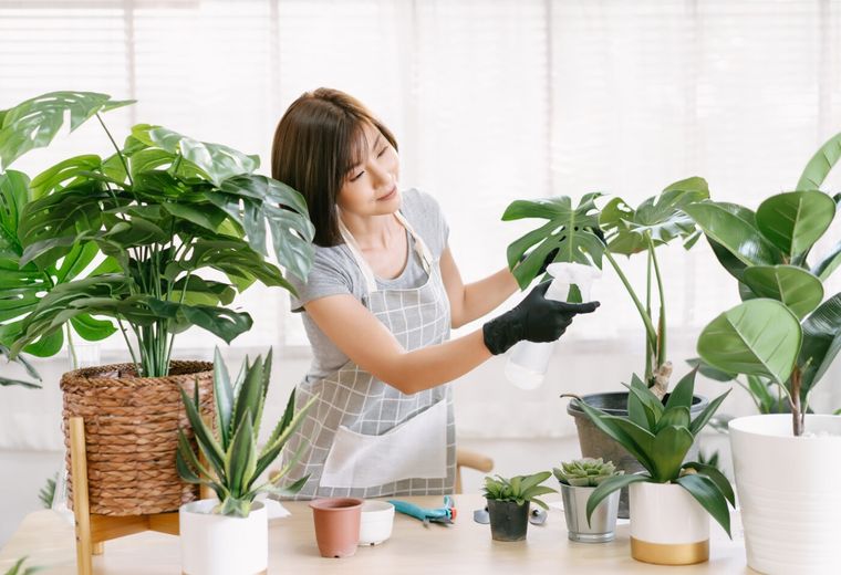 Dale un toque verde a tu casa. Foto: Archivo