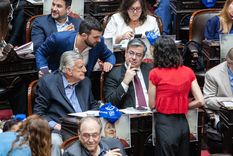 Diputados del Frente de Todos durante la sesión de este jueves Foto: NA