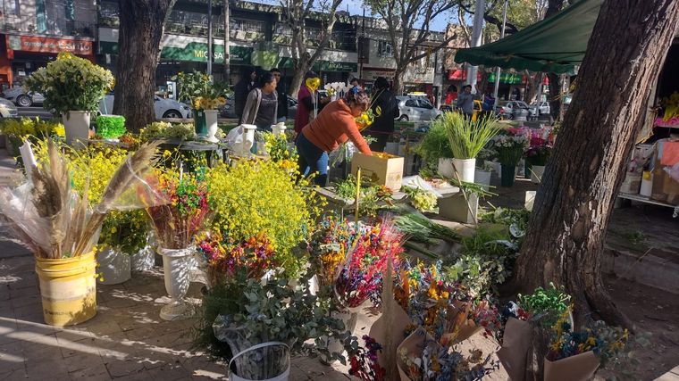 La venta de flores amarillas arrasa en el Día de la Primavera. Foto: Micaela Blanco Minoli / MDZ
