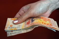 Las tasas de plazo fijo varían según la entidad y el perfil del cliente.Foto: ALF PONCE MERCADO / MDZ