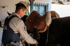 La Policía Rural detectó carne en mal estado en Maipú y recuperó caballos en Lavalle&nbsp;