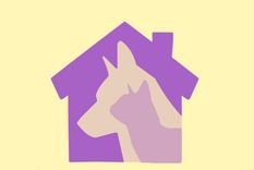 Test de personalidad