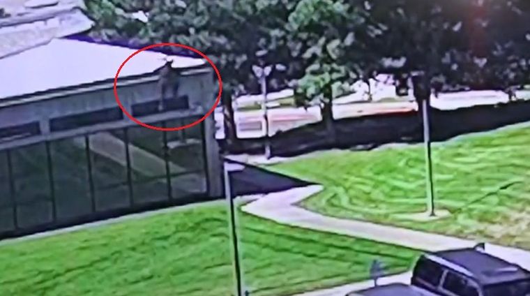 El FBI comparte evidencia en video del sospechoso prófugo del asesinato de Charlie Kirk.