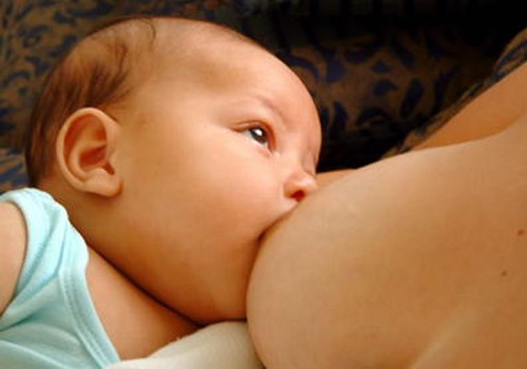 Leche sana para los bebés. Foto: Web