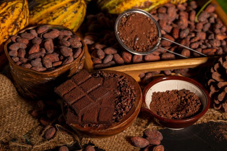 CHOCOLATE EL CHOCOLATE AMARGO APORTA potasio, fósforo y magnesio A LAS PLANTAS Foto: SHUTTERSTOCK