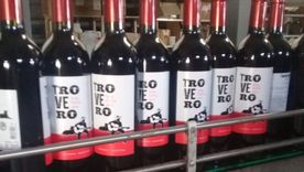 Mejoraron las ventas de vino en 2019