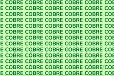 Los acertijos visuales siguen captando la atención de miles de personas y se han consolidado como una forma divertida y efectiva de entrenar la mente Foto: Archivo MDZ