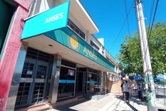 Anses y la nueva disposición para las PUAM.