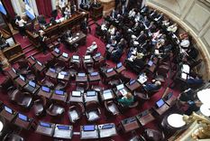 Foto: Prensa Senado Nacional Foto: Prensa Senado Nacional