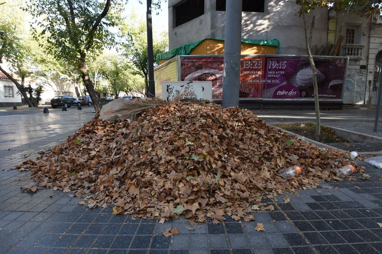 La temperatura máxima será de 31° Foto: Maximiliano Ríos/MDZ