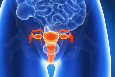 MDZol | En el camino hacia la maternidad, cada avance tecnológico representa una oportunidad para optimizar los tratamientos y mejorar las tasas de éxito. Foto: Archivo MDZ