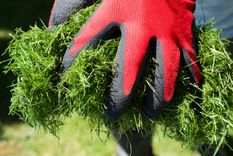 JARDÍN El césped que cortas sirve para preparar un nuevo abono Foto: shutterstock