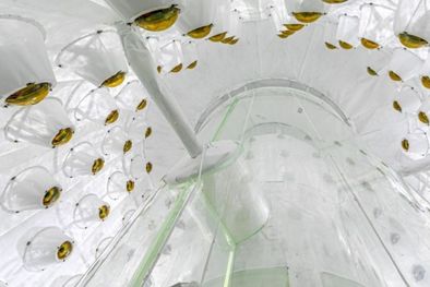 MDZol | Foto: LZ/SURF