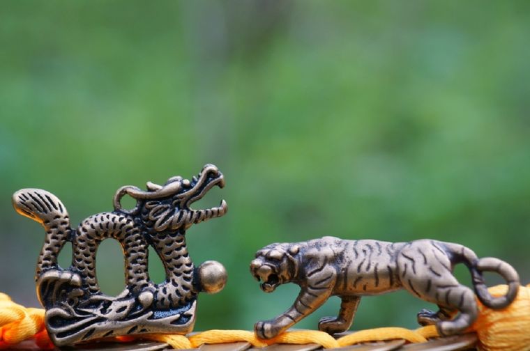 El horóscopo chino tiene diferentes predicciones para cada signo Foto: Shutterstock