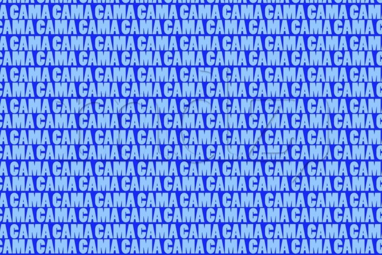 Acertijo visual Acertijo visual, Reto visual, Palabra Foto: MDZ Online