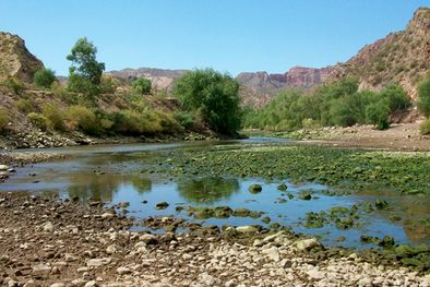 MDZol | Foto: Laura Ballarini/Mediamza.com