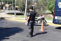 Policía El aspecto más grave de la situación son los reincidentes, es decir, las personas que a pesar de estar imputadas vuelven a salir. Foto: ALF PONCE / MDZ