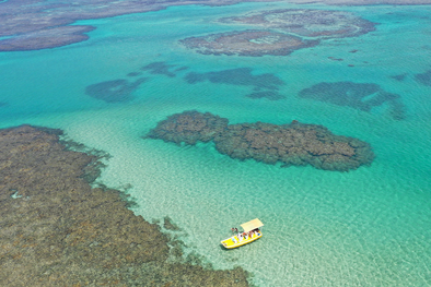 MDZol | São Miguel dos Milagres