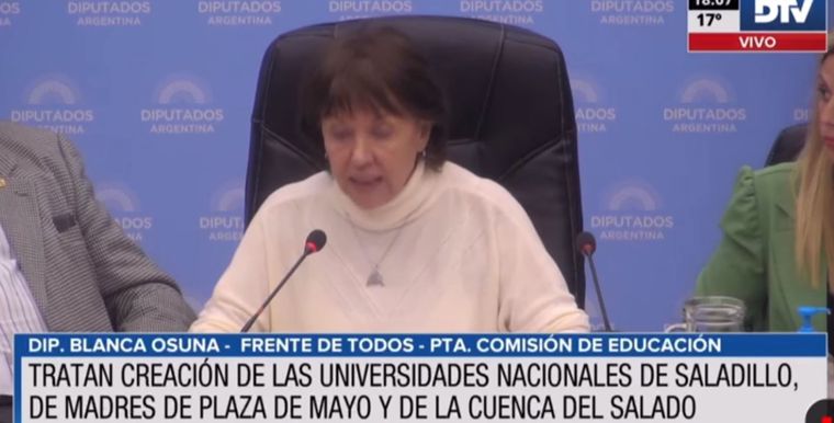 Foto: Captura de pantalla Diputados
